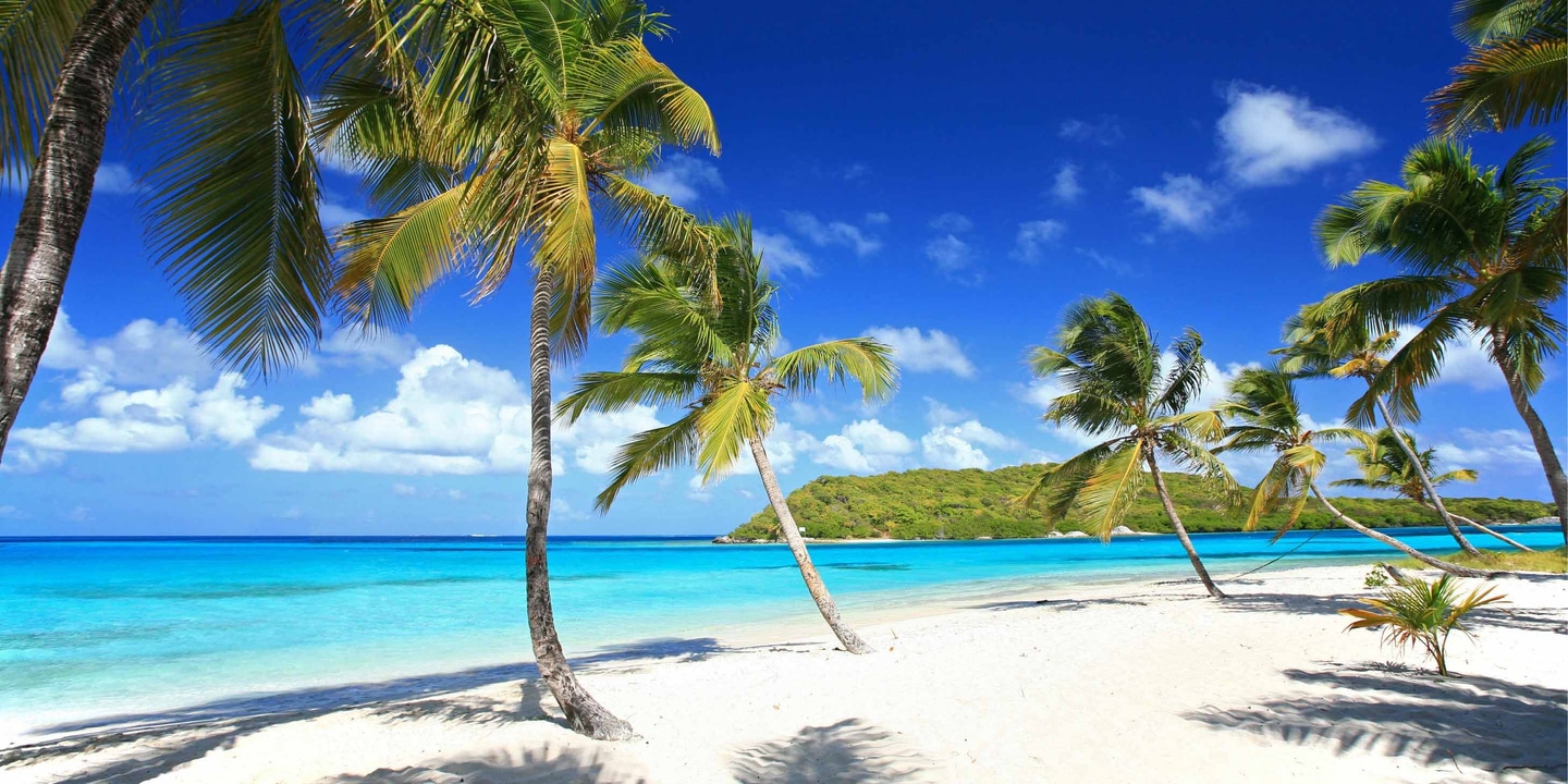 Destinations Tobago Cays Grenadines