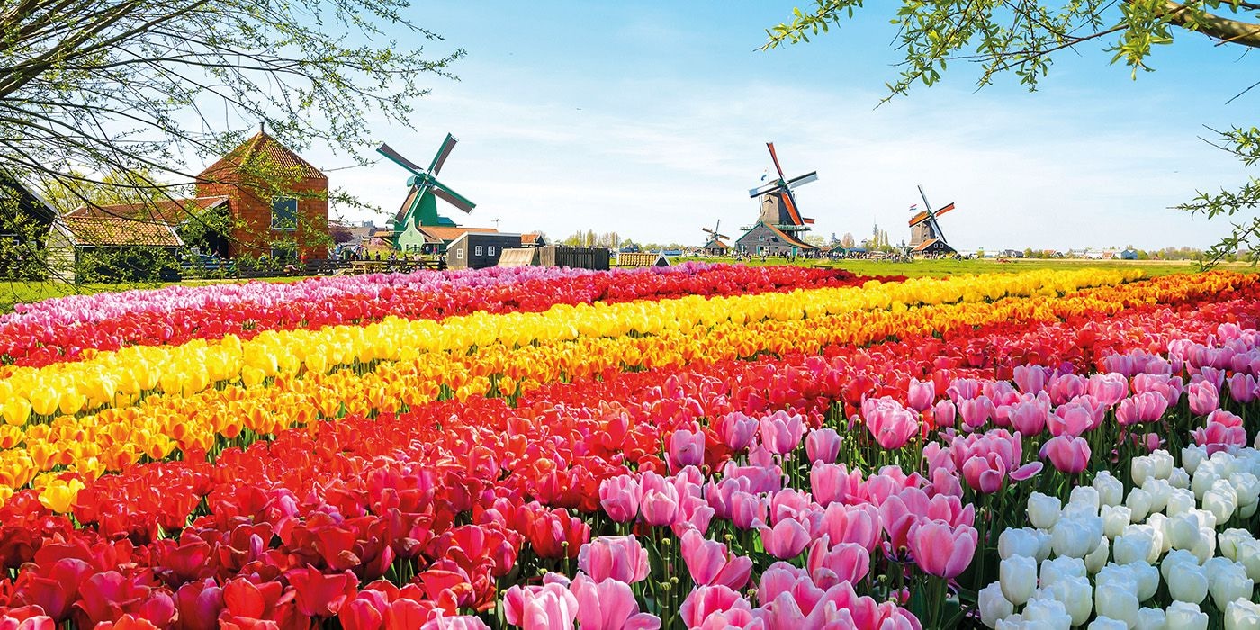 keukenhof_gardens