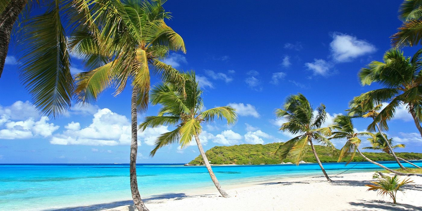 Palm-fringed white-sand beach and turquoise water in the Tobago Cays