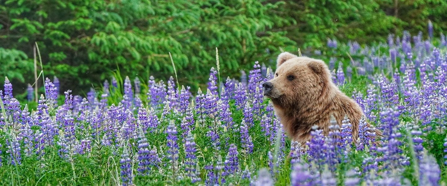 Banff National Park, Canada